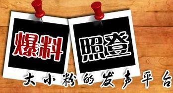 无极最新爆料新闻,神秘事件背后真相揭晓